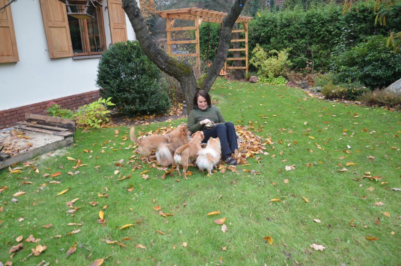 Willa Danusia Milanowek ภายนอก รูปภาพ